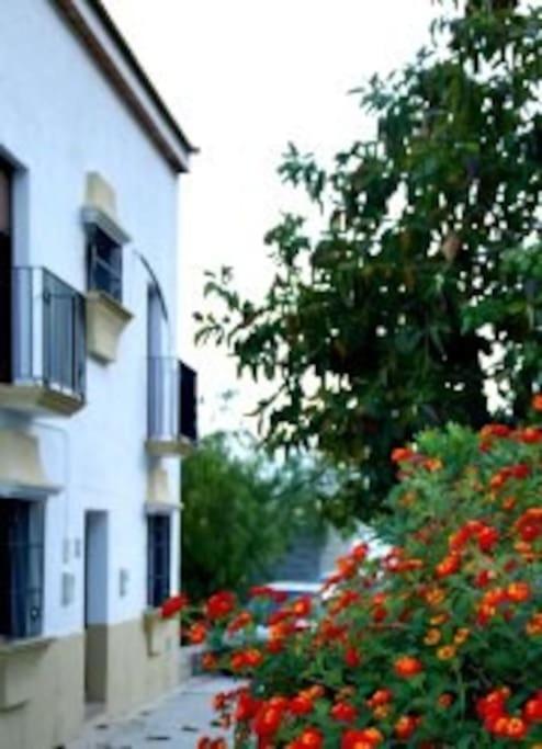 Eagles Nest - Massive Townhouse With Pool With Outstanding Views Villa Algodonales Exterior photo